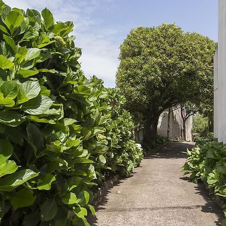 Casa Do Maranhao - Nature & Views Experience カペラス エクステリア 写真